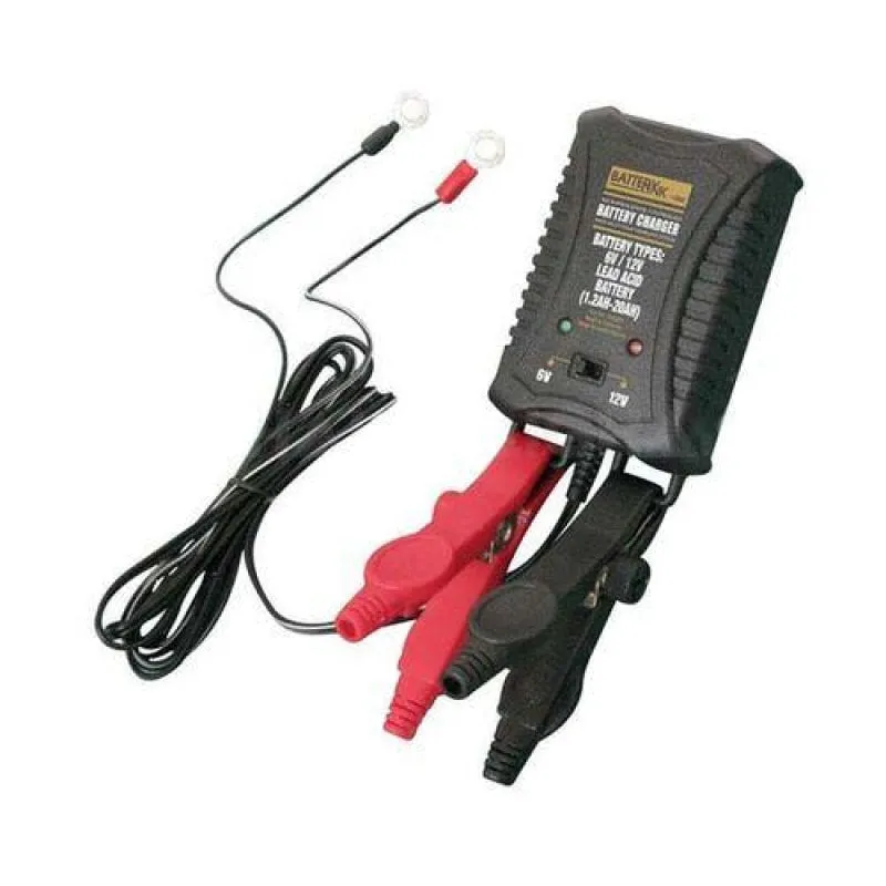 Battery Link Pro-Series Smart Battery Charger │ 750mA