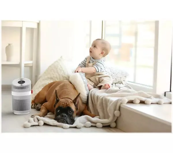 Boneco P230 Air Purifier