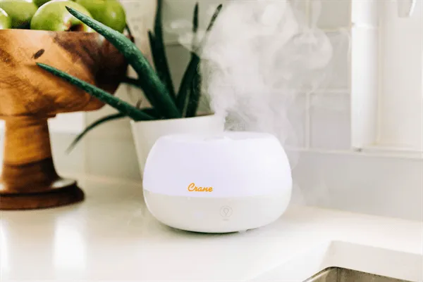 Crane 2-in-1 Ultrasonic Cool Mist Personal Humidifier & Aroma Diffuser, 0.2 Gallon - White