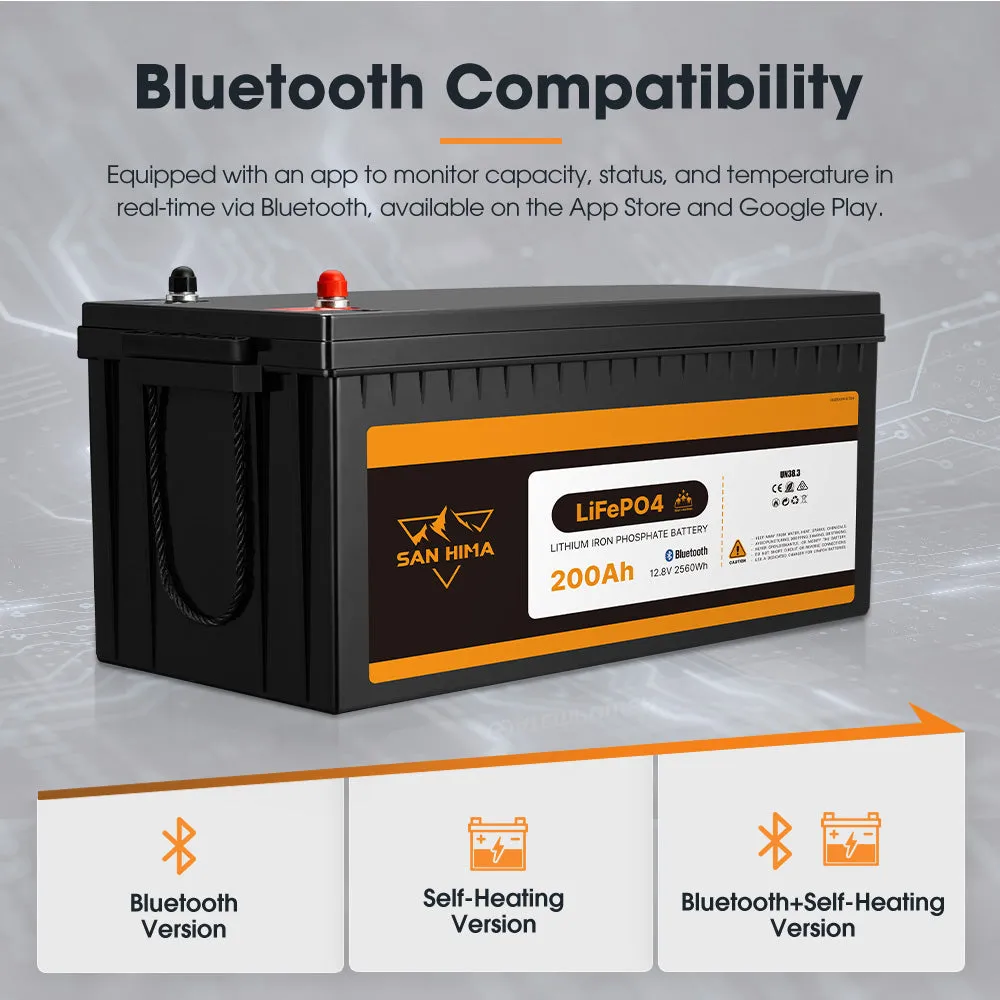 San Hima 12V 200Ah Lithium Iron Phosphate Battery Self-heating   12V Control Box