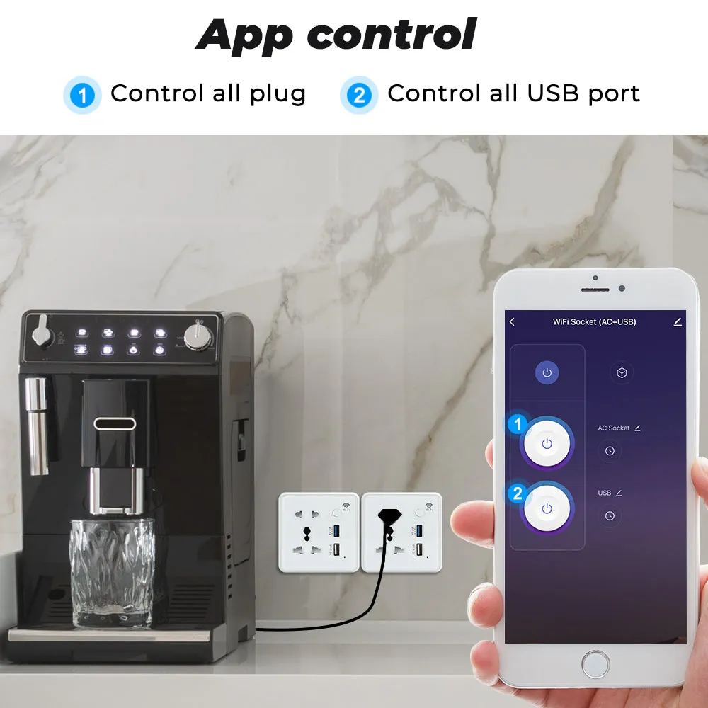 SMATRUL Wifi Wall Universal Outlet with 2 USB Port with Timer APP Remote Control Voice Control (10A, US)